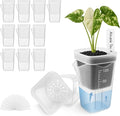 12 Pack 2" Mini Self Watering Pots for Indoor Plants,Small Clear Plastic Planters,Alocasia Corm Propagation,African Violet,Cutting,Seeding,Water Level Indicator,Drainage Hole,12 Plant Label