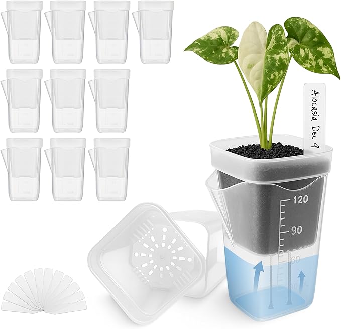 12 Pack 2" Mini Self Watering Pots for Indoor Plants,Small Clear Plastic Planters,Alocasia Corm Propagation,African Violet,Cutting,Seeding,Water Level Indicator,Drainage Hole,12 Plant Label