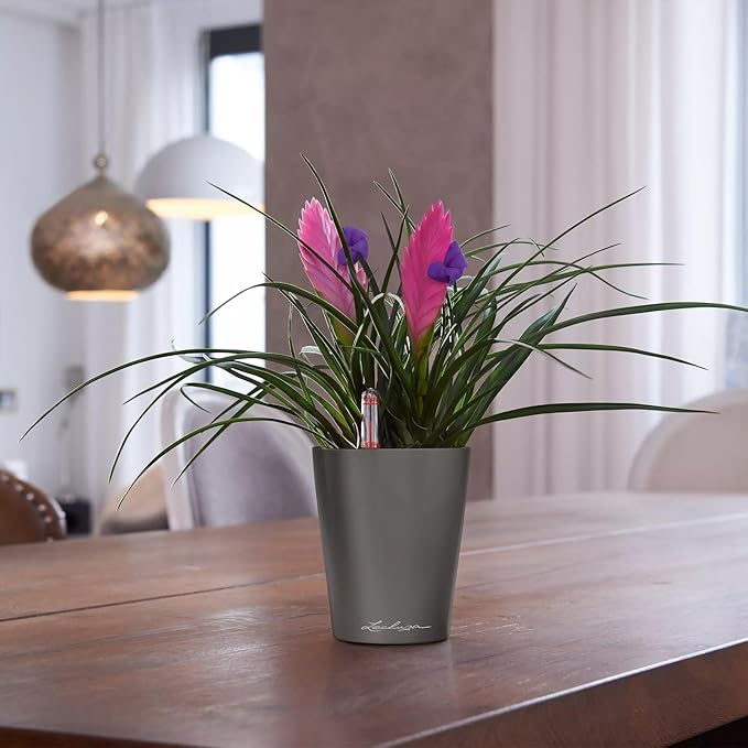Lechuza MINI-DELTINI Charcoal Metallic, Self-Watering Small Indoor Planter, H5.1 L3.9 W3.9 in