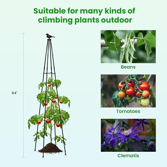 Cucumber Trellis, 67" Tall Obelisk Garden Trellis for Climbing Plants Outdoor Plastic-Coated Metal Support for Flower Vine Vegetable Tomato Cage Cucumebr Trellis Raised Bed, Black, 2 Pack