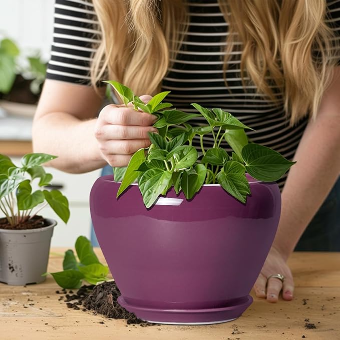 Ceramic Planter - 8 Inch Plant Pot Indoor with Drainage Hole and Saucer, Glaze Decorative Planter, Round Flower Pot, Plant Lover Gifts, Home Garden Office Decor, Purple