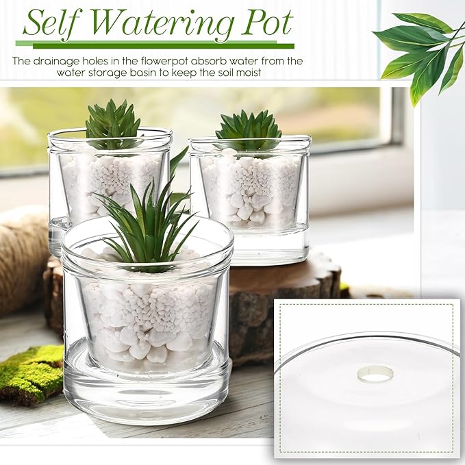 Baderke 2 Pcs 4 Inch Self Watering Pot for Indoor Plants Clear Glass Planter Small Plant Pot with Saucer Reservoir Drainage Holes Bottom Watering Pot for African Violet Orchid Flowers Houseplant
