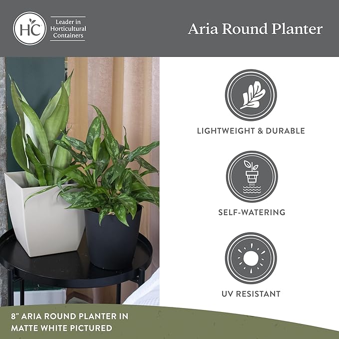 The HC Companies Aria Round Self-Watering Pot - Lightweight Plastic Planter for Herbs & More - Durable Plant Pots for Indoor Plants & Outdoor Plants (12" Glossy Avocado, Pack of 2)