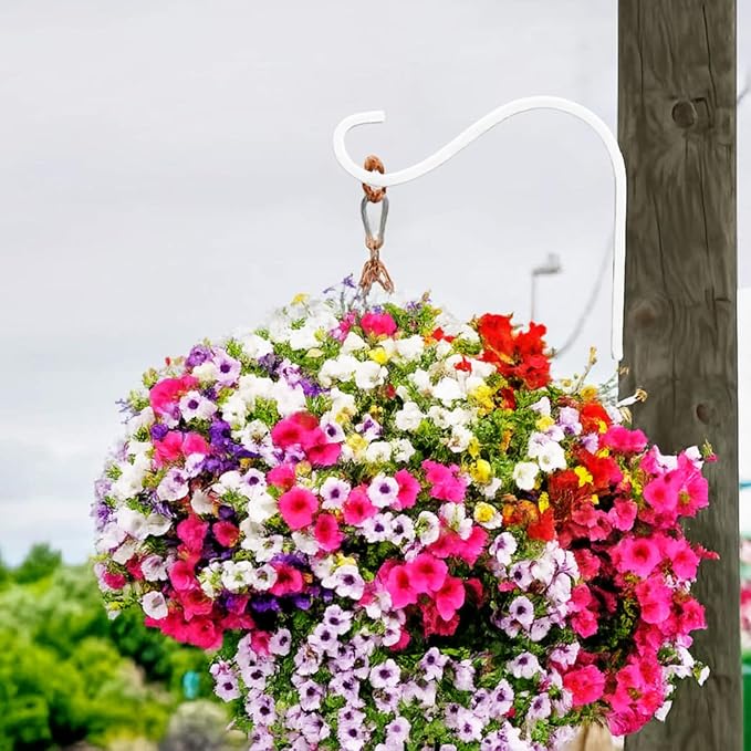 4 Inch Cast Iron Plant Hook – White Wall Mounted Plant Hanger Bracket for Hanging Baskets, Lanterns or Wind Chimes – Heavy-Duty Hook with Screws Included