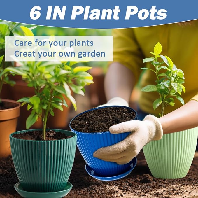 6 Inch Plant Pots, Plastic Flower Pots for Indoor Outdoor Plants, Planters with Drainage Holes and Tray Saucers, Cute Succulent Pots Durable and Light Weight (6 Pack)