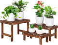 3 Tiered Small Plant Stands Shelf Indoor Outdoor,Wood Flower Pot Stand Holders Rack,Freestanding Corner Ladder Shelves for Plants Succulent Cactus,on Patio,Desktop,Window