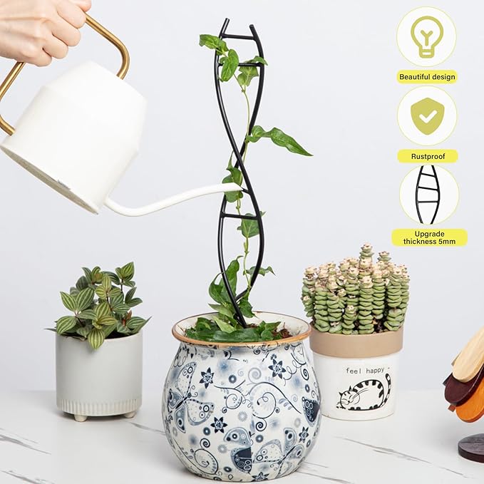 DNA Spiral Plant Trellis Indoor - Durable Metal Trellis for Potted Plants, Perfect for Small Houseplant Pots, Ideal for Ivy and Pothos, Space-Saving Vertical Support for Climbing Growth