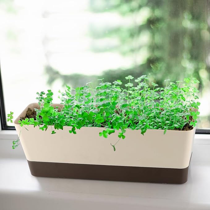 Window Box Planter with Tray, 12" Rectangle Plant Pot, Pack of 3 (Beige)