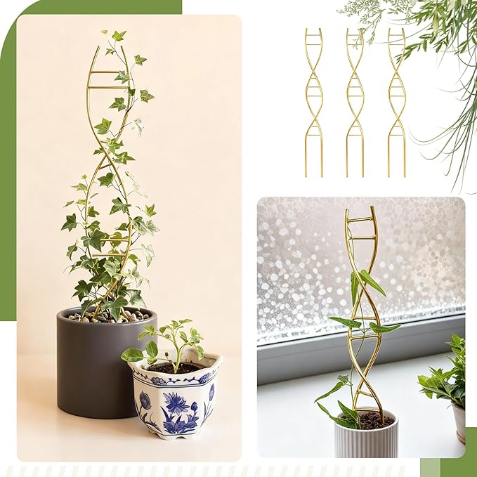 3 Pcs 15.75 Inch Indoor Plant Trellis for Potted Plants Small Climbing Plant Trellis for Pots with Unique DNA Spiral Design for Vine Plants, Easy Installation for Indoor Outdoor Use