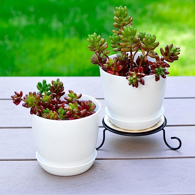 Tergy 50 Pack 4 Inch Plant Pots Bulk Small Plastic Planters Pots with Drainage Holes Flower Pot for Succulent, Cactus, Herb, African Violet (50pcs-White, 4Inches)