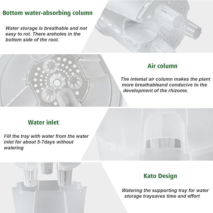 Cdd's Path Large Naked Root Planter Self Watering Pots Set with Holes for Indoor/Outdoor Plants, Planter Pot with Watering Hole/Reservior and Air Pipes (Clear, 8 inch-5 Pack)