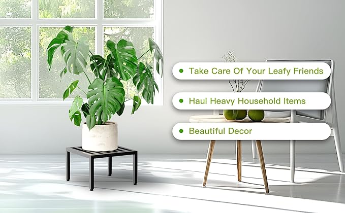 Zhongma 2 Pack 12" Fully Assembled Sturdy Potted Plant Stand Flower Pot Holder Heavy Duty Construction, No Installation Square Low Plant Stand 12 x 12 x 7.87 inch for Home Indoor and Outdoor, Sturdy plant riser and saucer