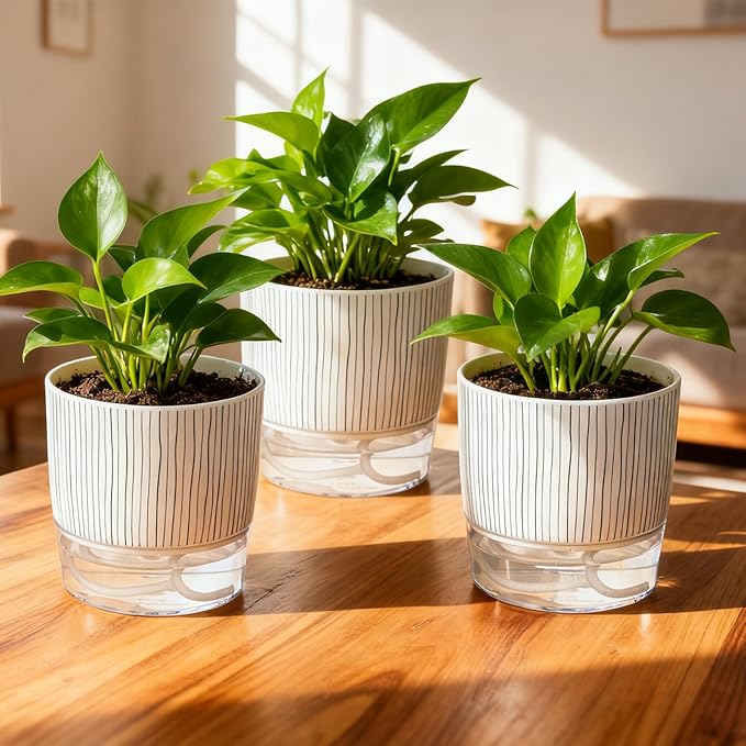 3 Pack Self Watering Pots Set, 5.5 Inch Self Watering Pots for Indoor Plants, Planter Pot with Wick Rope and Reservoir for African Violet, Spider Plant, Orchid