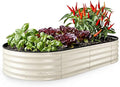 Plant & Plot Galvanized Raised Garden Beds Outdoor // 6×3×1 ft Planter Raised Beds for Gardening, Vegetables, Flowers // Large Metal Garden Box // Patented Tool-Free Design (White)
