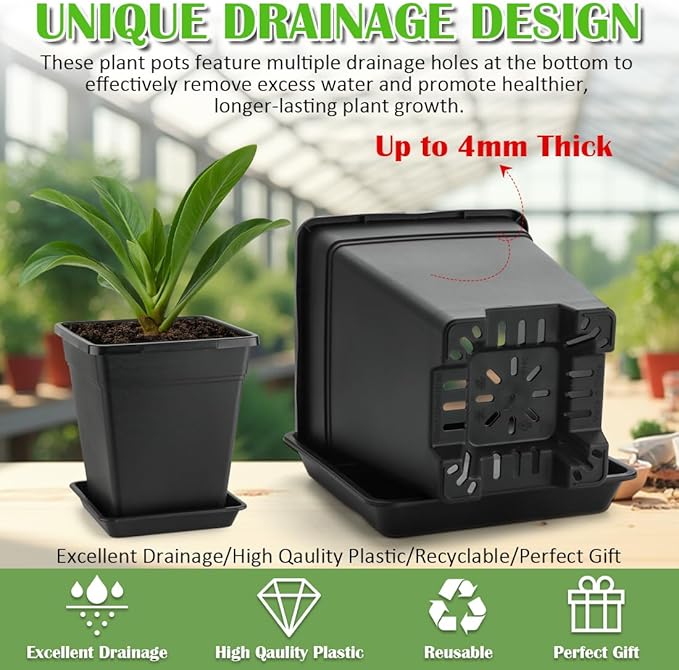 6 inch Plant Pots, 10 Pack Flower Pots Outdoor Indoor, Square Plastic Planter with Drainage Holes and Saucers, 0.5 Gallon Planter Pots for Plants Deep Capacity Garden Pot Container with Tray