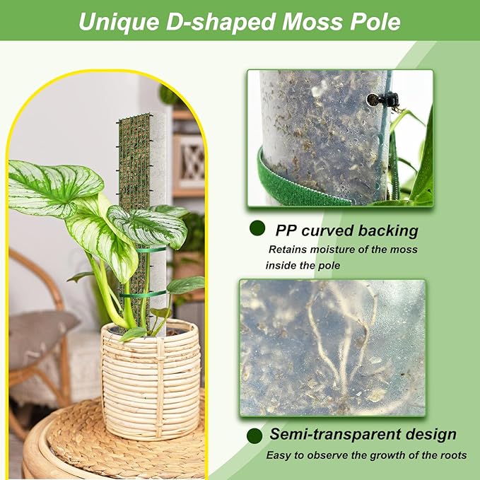 60"/40"/24" Metal Moss Pole, D Shape Sphagnum Moss Pole, Moss Poles for Climbing Plants, Monstera, Indoor Climbing Plants (1 Each of 60" 40" 24")