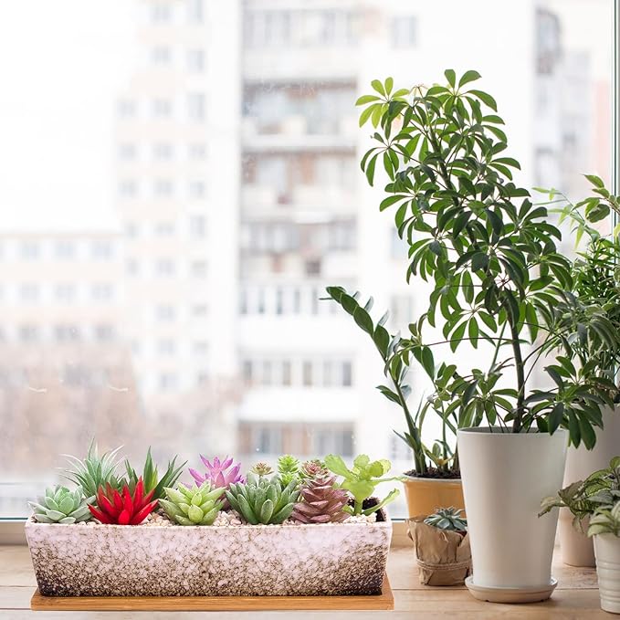 Succulent Pots - Large Succulent Planter Pots with Drainage, 12 Inch Long Rectangle Bonsai Pot with Bamboo Tray Shallow Ceramic Cactus Flower Planter Window Box for Home Garden Decor (White)