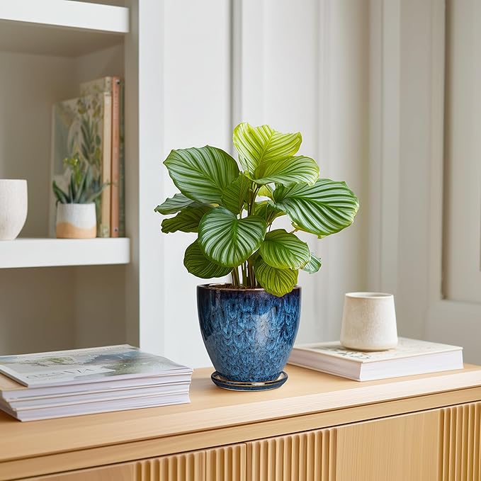6 Inch Plant Pot - Ceramic Pots for Plants with Drainage Hole and Saucer, Ceramic Planters for Indoor Plants Outdoor, Decorative Round Planter, Room Home Decor, Gifts for Plant Lovers, Blue