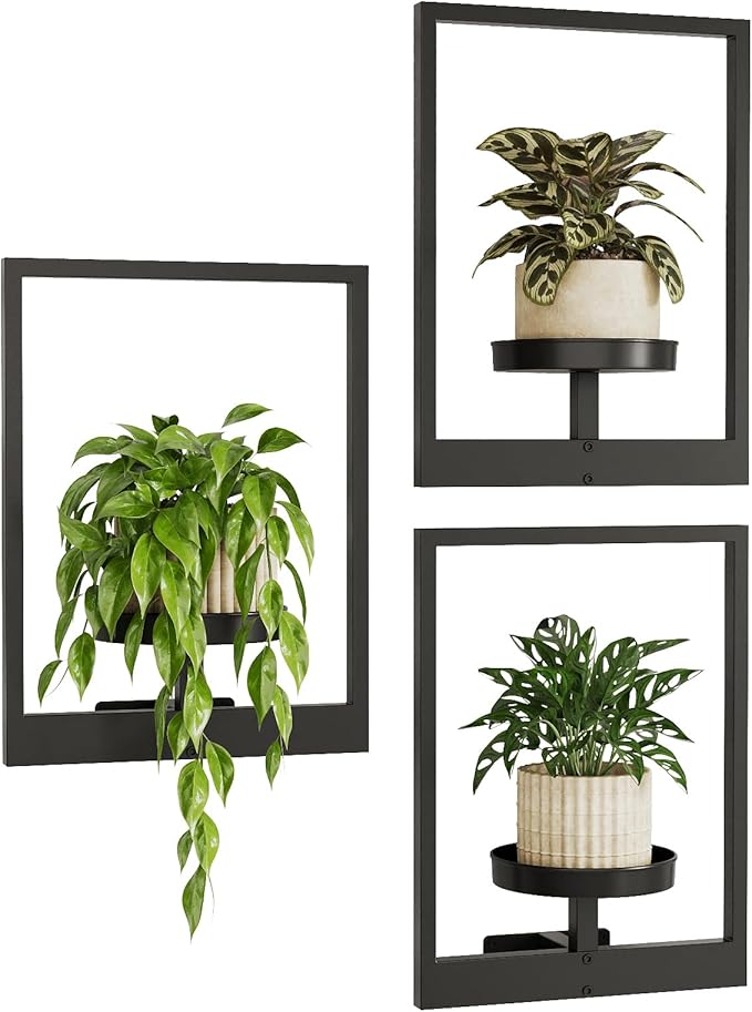Bamworld Hanging Planters for Indoor Plants Wall Decor Living Room Plant Stand Indoor Wall Planters Plant Hanger Window Plant Shelves 3 Pack for Outdoor Entryway