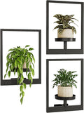Bamworld Hanging Planters for Indoor Plants Wall Decor Living Room Plant Stand Indoor Wall Planters Plant Hanger Window Plant Shelves 3 Pack for Outdoor Entryway