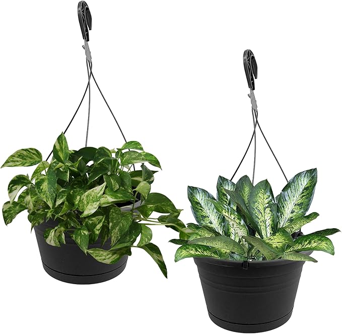 10in Euro Hanging Planters for Indoor Plants 2 Pieces 10inch Hanging Planter with (2) 40cm Hooks, Self Watering Indoor Outdoor Hanging Pots with Drainage Holes and Removable Drip Tray