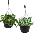 10in Euro Hanging Planters for Indoor Plants 2 Pieces 10inch Hanging Planter with (2) 40cm Hooks, Self Watering Indoor Outdoor Hanging Pots with Drainage Holes and Removable Drip Tray
