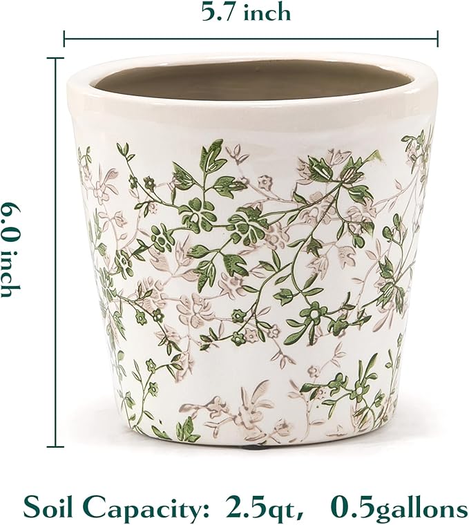 Ceramic Planter with Drainage Hole, Plastic Tray & Mesh, 6 Inch - Indoor/Outdoor Flower Pot for Orchids, Succulents, Green Floral Modern Farmhouse Décor for Home,Office and Garden, Ideal Gift