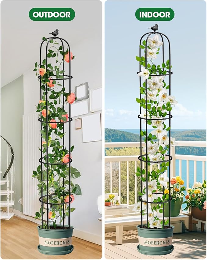 6.2ft Garden Obelisk Trellis for Climbing Plants Rustproof Metal Pipe with Heavy Duty Plastic Coated Garden Outdoor Indoor Potted Plant Support for Clematis Vine Jasmine Support