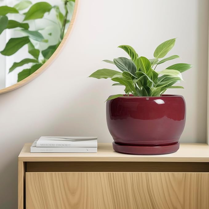 SQOWL Ceramic Pot for Plants - 10 Inch Indoor Planter with Drainage Hole and Saucer, Round Modern Planter Outdoor, Decorative Large Plant Pot for Flower, Living Room Decor, Garden Gifts, Red