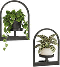Bamworld Plant Stand Indoor, Plant Hanger Wall Planters for Indoor Plants Window Plant Shelves Plant Holder Wall Decor, Room Decor, Round (Patent Design)