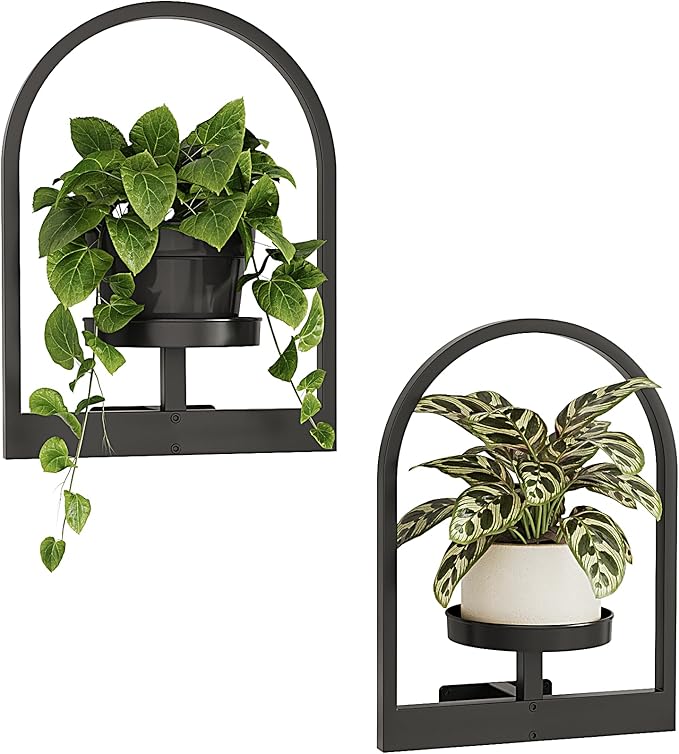 Bamworld Plant Stand Indoor, Plant Hanger Wall Planters for Indoor Plants Window Plant Shelves Plant Holder Wall Decor, Room Decor, Round (Patent Design)