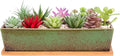 Succulent Pots - Large Succulent Planter Pots with Drainage, 12 Inch Long Rectangle Bonsai Pot with Bamboo Tray Shallow Ceramic Cactus Flower Planter Window Box for Home Garden Decor (Green)