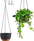 Hanging Planters for Indoor Plants, Set of 2 8/10 Inch Self-Watering Hanging Pots with Drainage Hole & Removable Water-Storage Tray II Screw-in Hooks