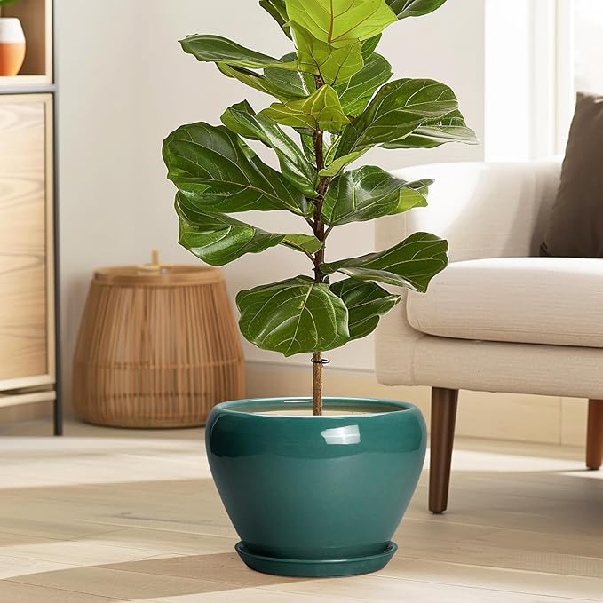 8 Inch Plant Pot - Ceramic Planter for Indoor Outdoor Plants, Glaze Modern Round Ceramic Flower Pot with Drainage Hole and Saucer, Gifts for Plant Lover, Home Office Patio Decor, Green