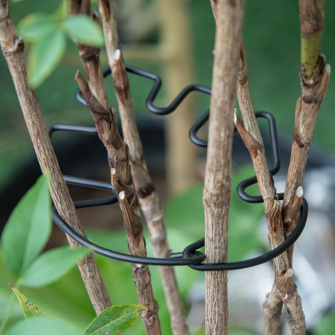 Monstera Plant Stem Support Set - 5pcs 4.13x2.95 inches Durable Supports for Indoor Climbing Plants - Easy-to-Use Stabilizers for Healthy Growth and Elegant Garden Decor