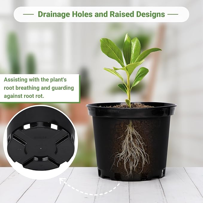 GREANER Plastic Garden Pots, 8 Inch Nursery Pots for Indoor Outdoor Plants, Black Plastic Planters for Planting Seeds, Flower, Succulent(Pack of 10)