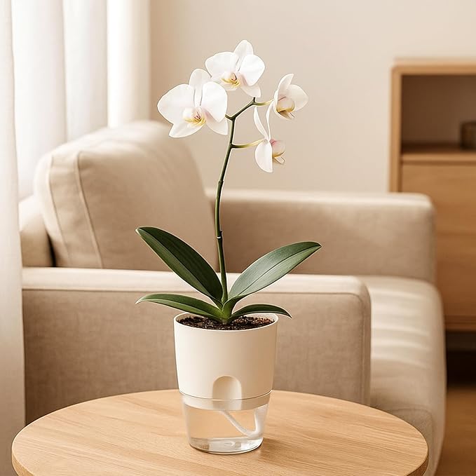 6 Pack Self Watering Pots for Indoor Plants, PlanterHoma 3.2/4/6 Inch Plant Pot Plastic Self Watering Planter for Orchid, African Violet, Small Clear Flower Pots with Drainage Holes and Wicking, White