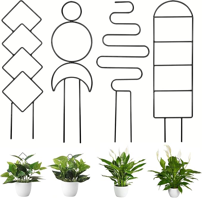 4 Pcs Mini Metal Trellis for Potted Plants, Climbing Support for Hoya Vines (Black)