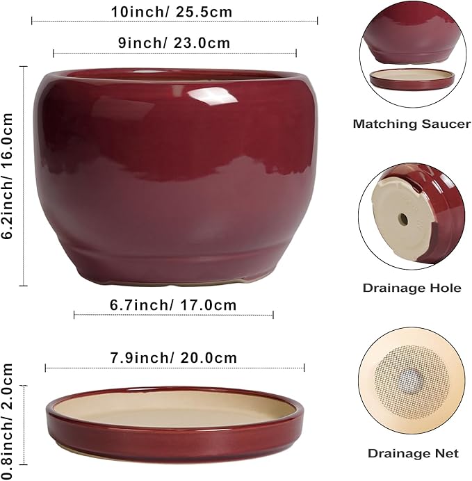 SQOWL Ceramic Pot for Plants - 10 Inch Indoor Planter with Drainage Hole and Saucer, Round Modern Planter Outdoor, Decorative Large Plant Pot for Flower, Living Room Decor, Garden Gifts, Red