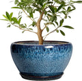 Ceramic Plant Pots 13 Inch - Indoor Planter with Drainage Hole and Saucer, Decorative Large Planter for Indoor Outdoor Plants, Ceramic Flower Pots, Gifts for Plant Lovers, House Decor, Blue