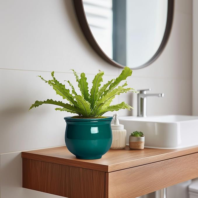 6 Inch Self Watering Plant Pots, Ceramic African Violet Pot with Absorbent Inner Pot, Easy Self Watering Pots for Indoor Plants, Ceramic Planter, Room Decor, Plant Lover Gifts, Blackish Green