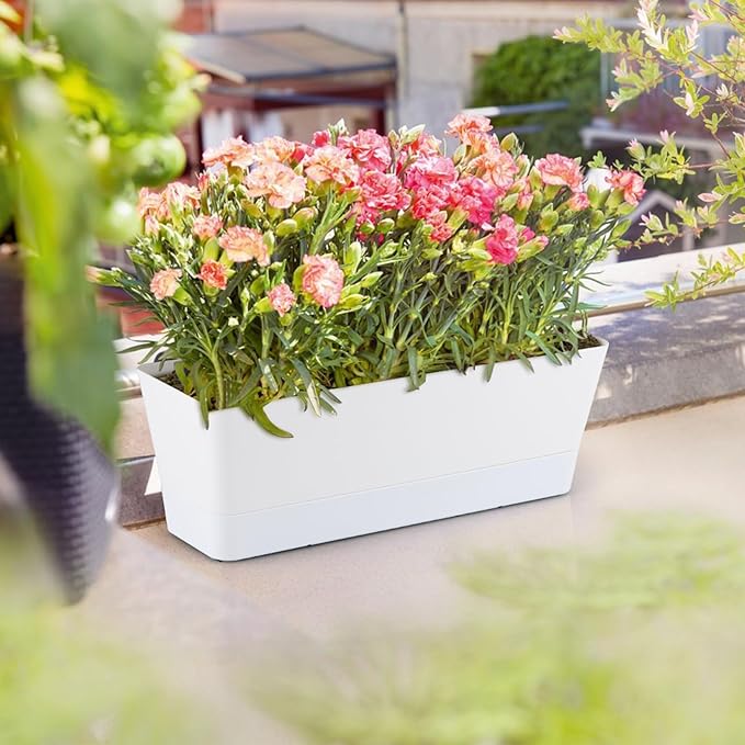 Window Box Planter with Tray, 12" Rectangle Plant Pot, Pack of 3 (White)