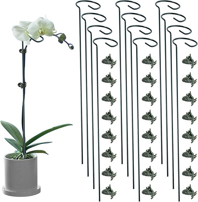 12 Pack Plant Support Stakes with 24 Pcs Plant Clips, Garden Single Stem Support Stake, Plant Cage Support Ring for Indoor Outdoor Flowers Rose Amaryllis Tomatoes Peony Lily Orchid (24 Inch)