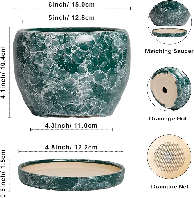 SQOWL Ceramic Pot for Plants - 6 Inch Ceramic Planter with Drainage Hole and Saucer, Round Flower Pot for Indoor Outdoor, Decorative Small Planter, Room Home Decor, Plant Lover Gifts, Green