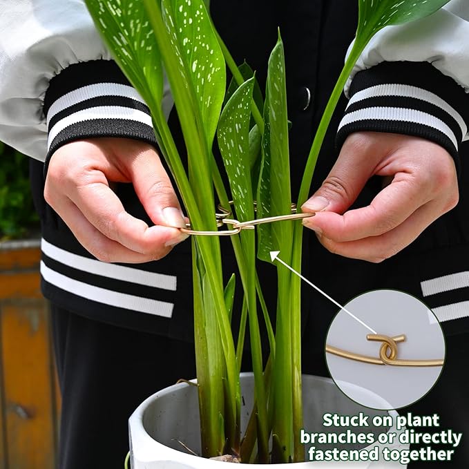 Monstera Plant Stem Support - 5 Piece Set, 4.13x2.95in Durable Leaf Holder & Fishbone Cactus Stake for Healthy Growth of Climbing Plants - Easy to Use Indoor Plant Decor