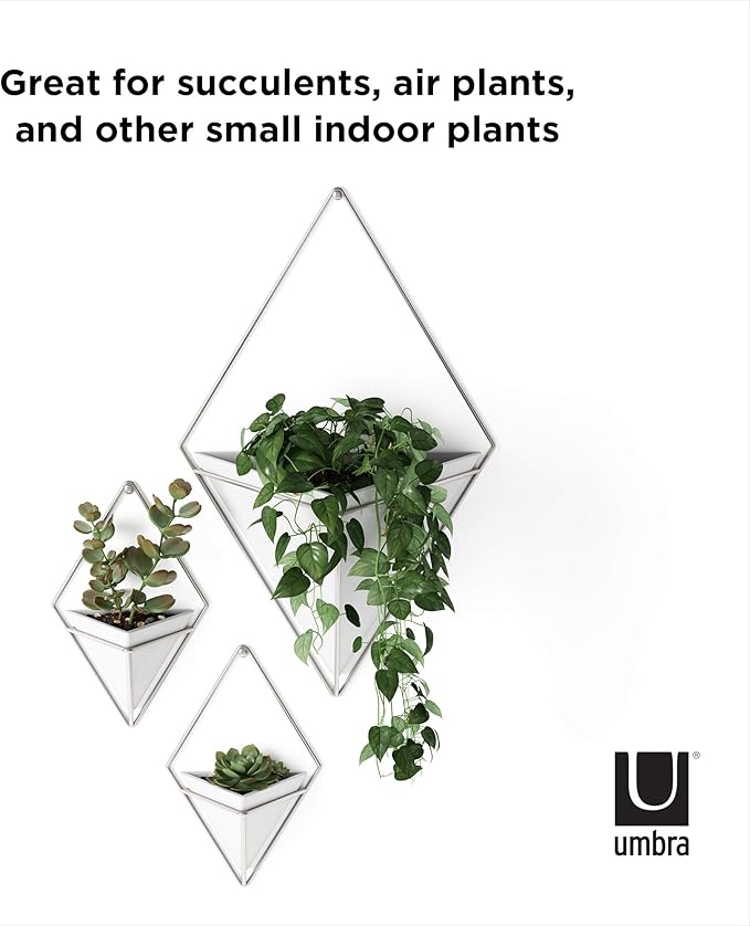 Umbra Trigg Hanging Planter Vase Wall Decor, Set of 2 Pots Containers for Succulents, Cactus, Faux Plants, and More, Small, White/Nickel