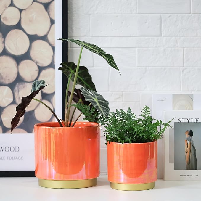 Gepege Peach Indoor Plant Pots for Plants, Ceramic Planter with Drainage Hole, 7.6 Inch +6 Inch 2pcs Succulent Orchid Flower Pot - Rainbow Pearl Glaze