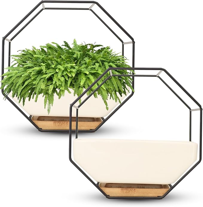 IRYL Wall Planter for Indoor Plants - Ceramic Wall Hanging Planter Set with Bamboo Tray & Hooks - Decorative Wall Plant Holder - Modern Wall Planters for Vertical Garden Home Decor - Black