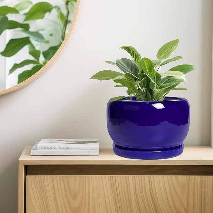 SQOWL Ceramic Plant Pot - 10 Inch Ceramic Planter for Indoor Outdoor, Round Flower Pot with Drainage Hole and Saucer, Modern Decorative Large Planter, Garden Decor, Plant Lover Gifts, Blue