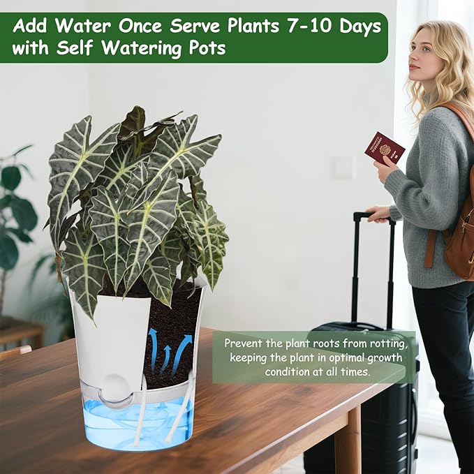 KIMCHOMERSE Self Watering Plant Pots, 6 Inch Orchid Pots, 3 Pack Flowers Pot Indoor Planter Pots with Tray for Spider Plant, Orchid, African Violet -White